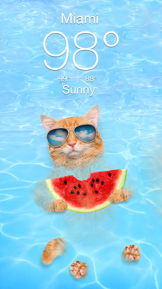 Weather Kitty - App & Widget screenshot